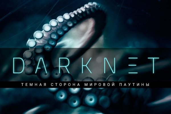 Kraken найдется все