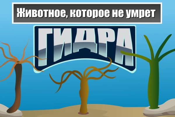Кракен сайт официальный onion