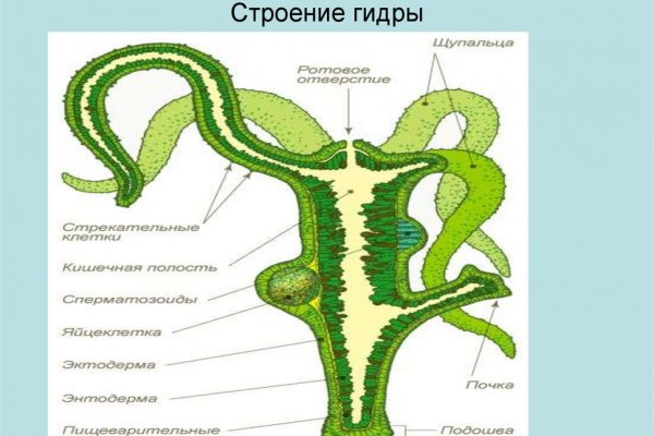 Актуальные ссылки на кракен тор