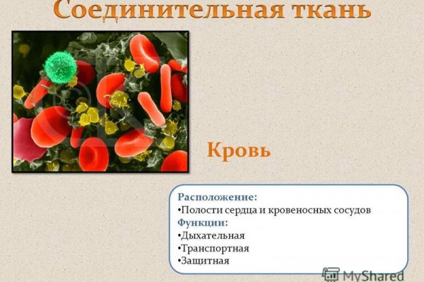 Актуальные ссылки на кракен тор