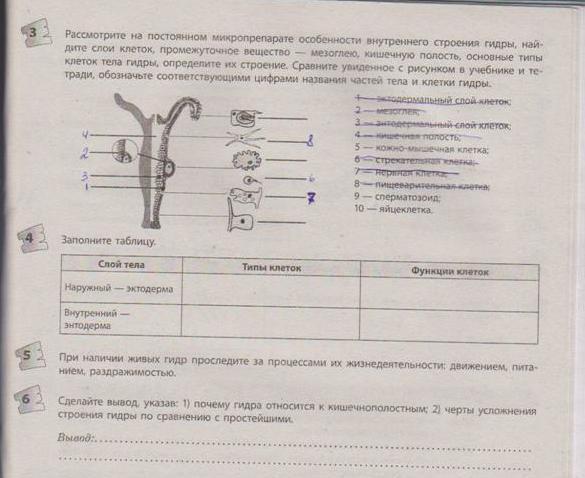 Кракен пользователь не найден