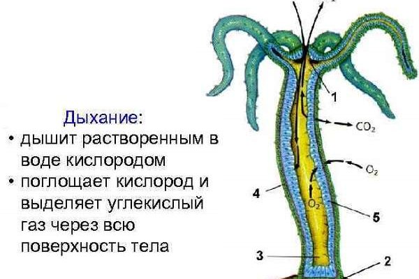 Как зарегистрироваться на сайте кракен